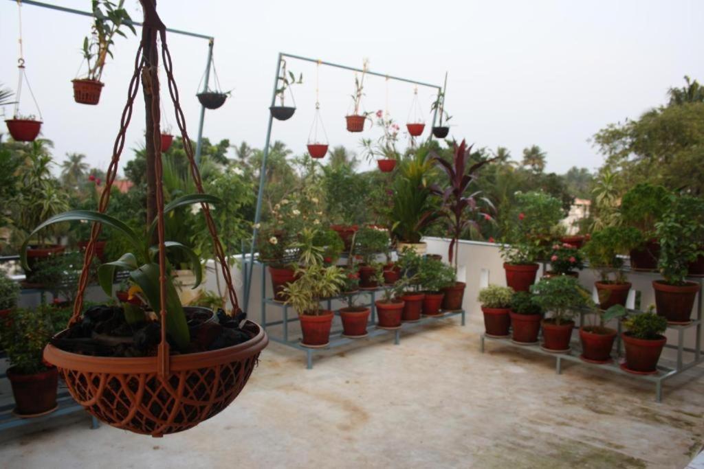 Aaron'S Homestay Kochi Exteriér fotografie