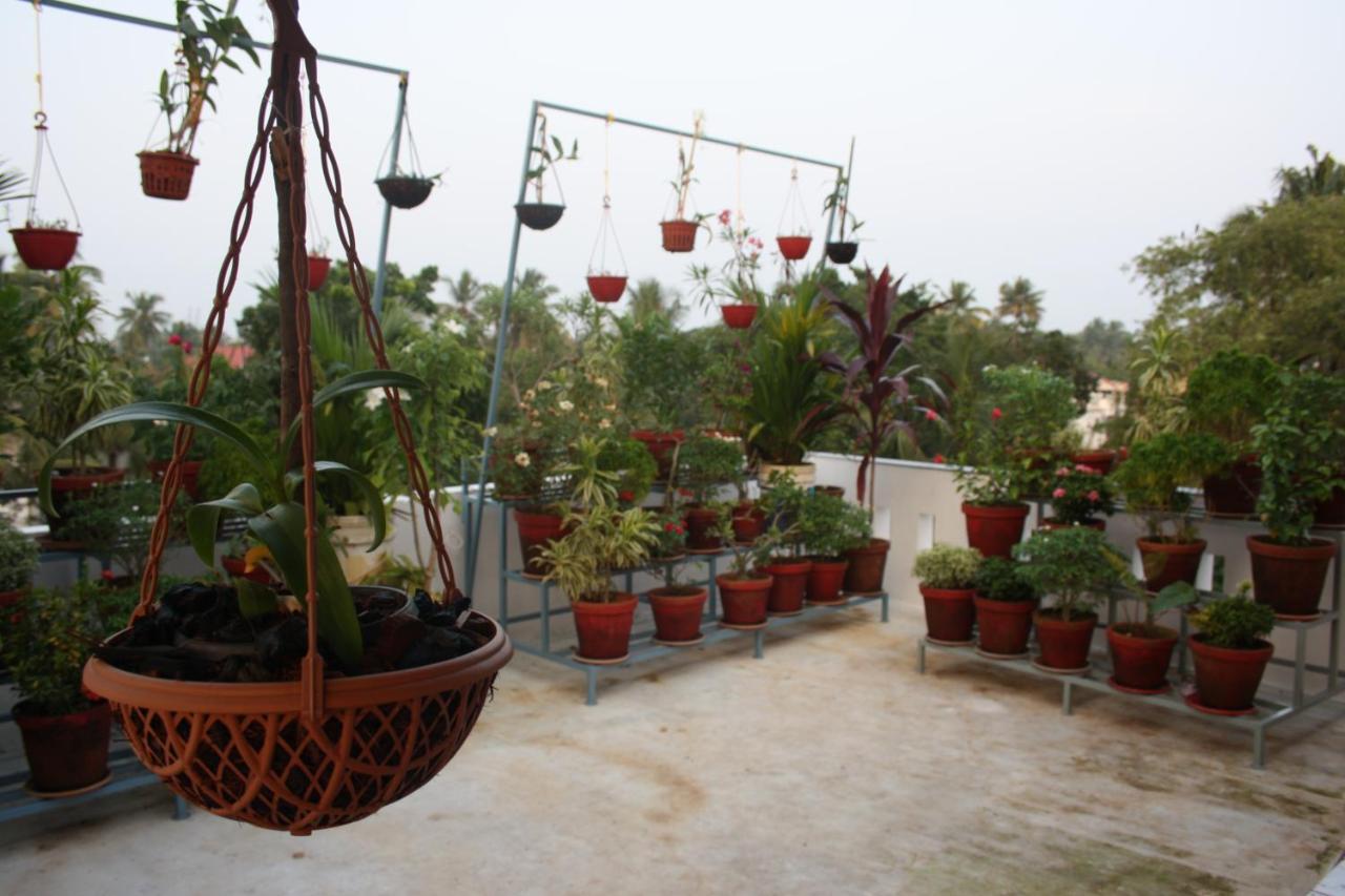 Aaron'S Homestay Kochi Exteriér fotografie