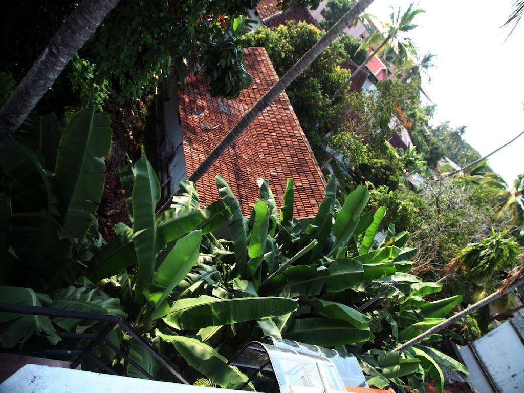 Aaron'S Homestay Kochi Exteriér fotografie